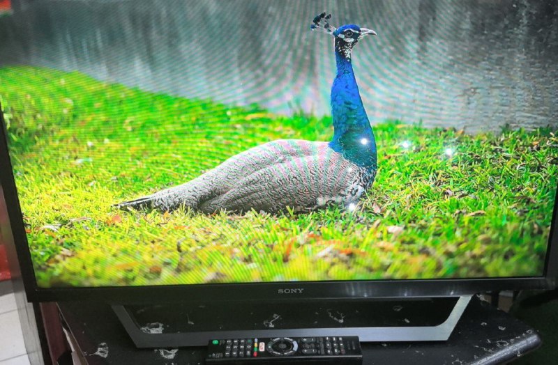 Телевизор Sony KDL32WD603