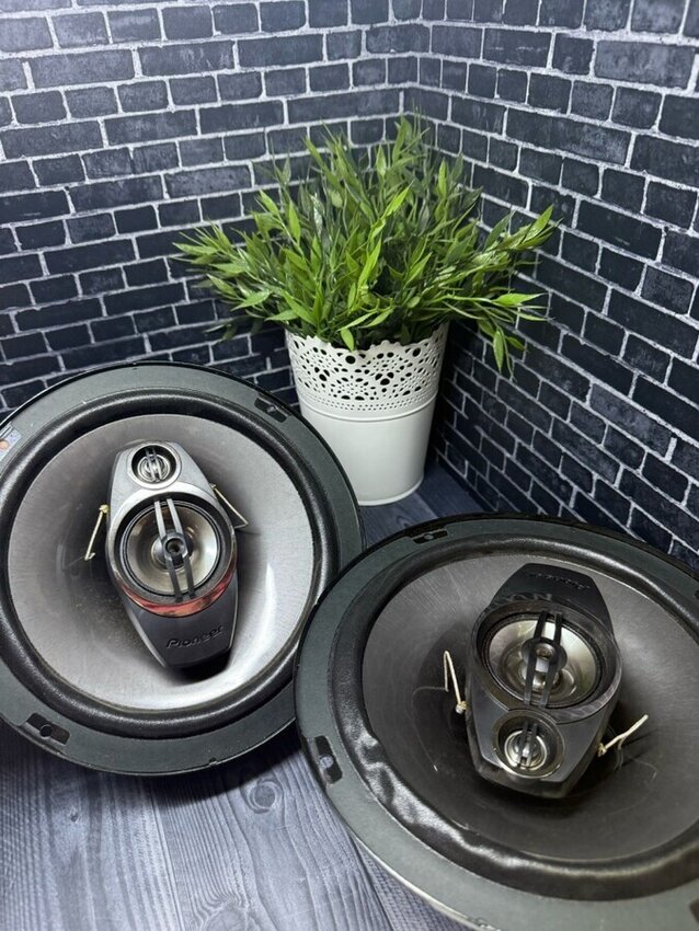 динамики PIONEER TS-A20131