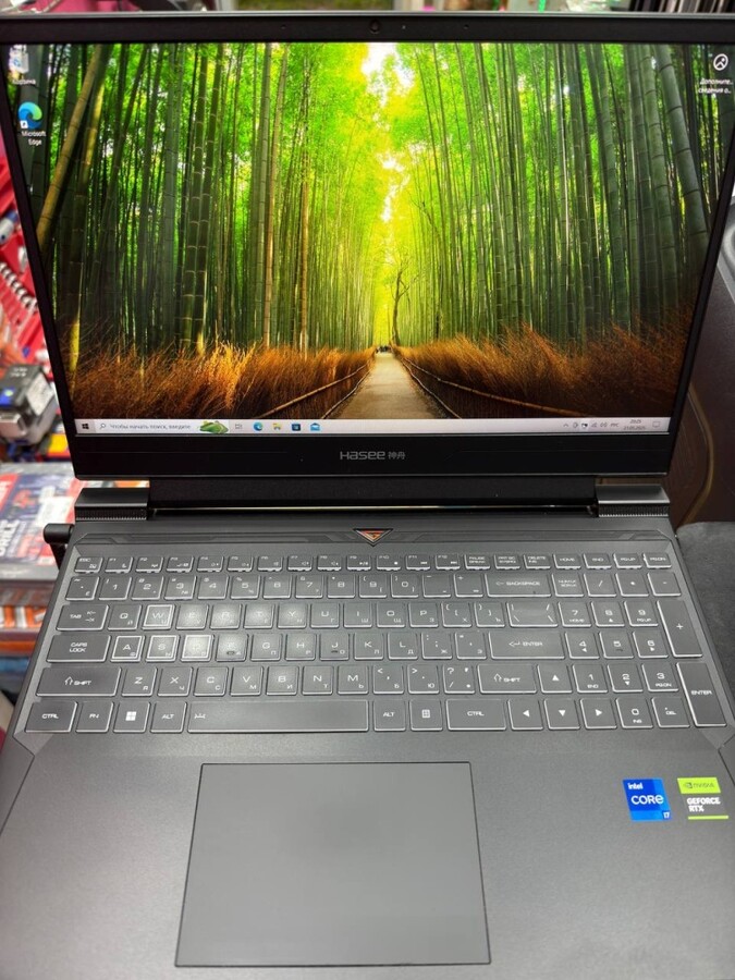 Ноутбук Hasee S8 D62654FH