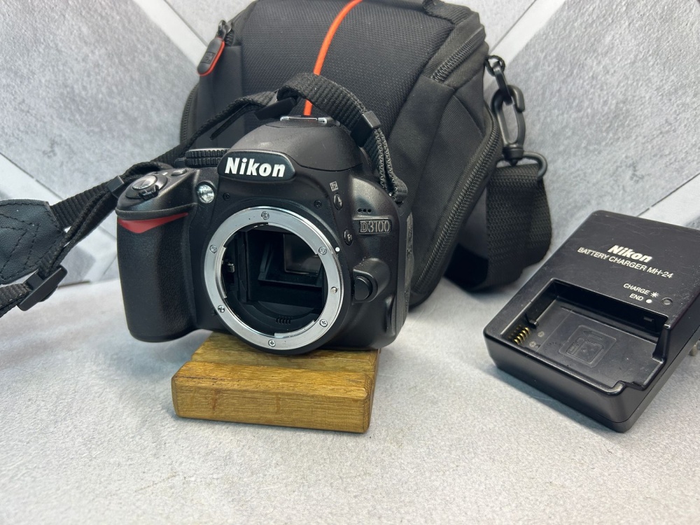 Фотоаппарат Nikon D3100