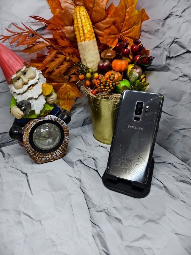 Смартфон Samsung S9+ 6/64